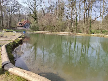 Angelparadies Nachtigallental