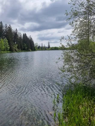 Schwarzenbacher Teich