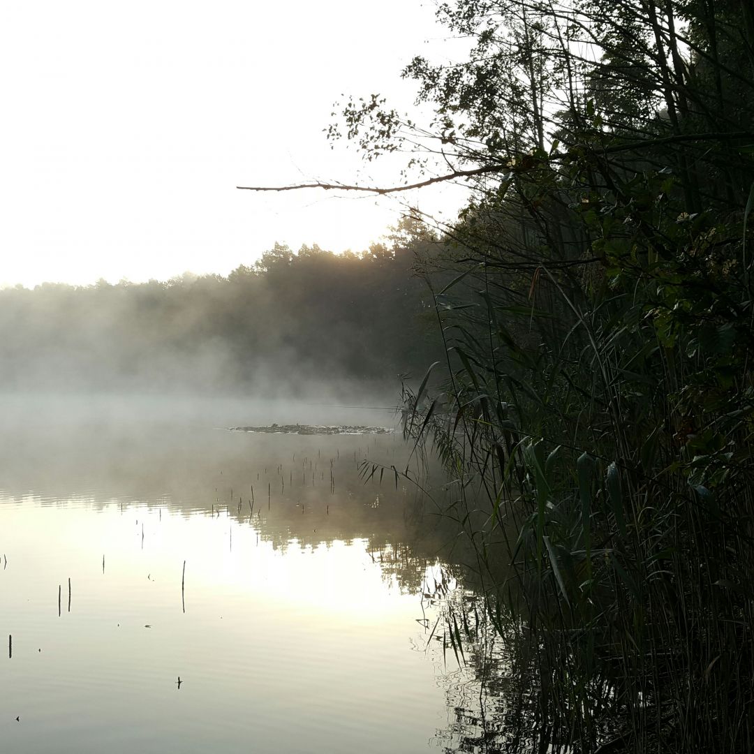 Kleiner Glasowsee angeln