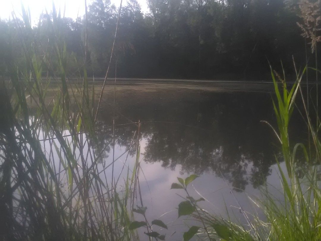 Lendgries See angeln