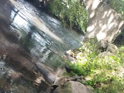 Luhe (Salzhausen)