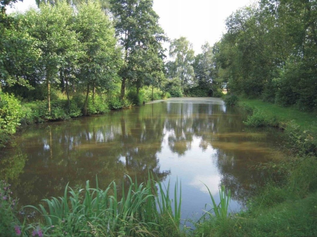 Wiesenfischteich (Eicken-Bruche) angeln