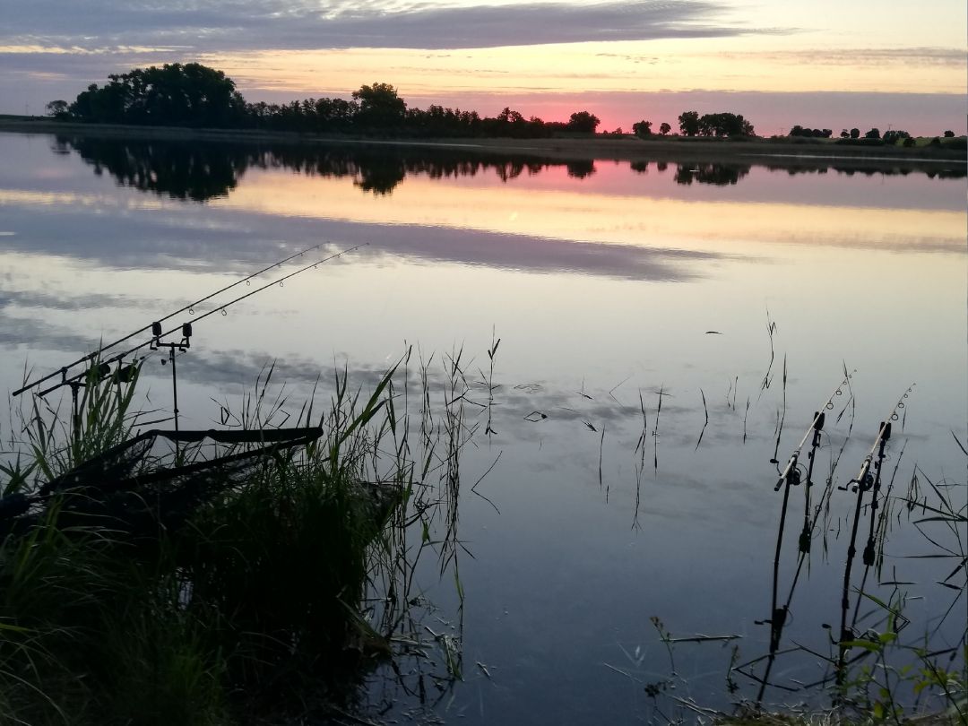 Petschsee (Angermünde) angeln