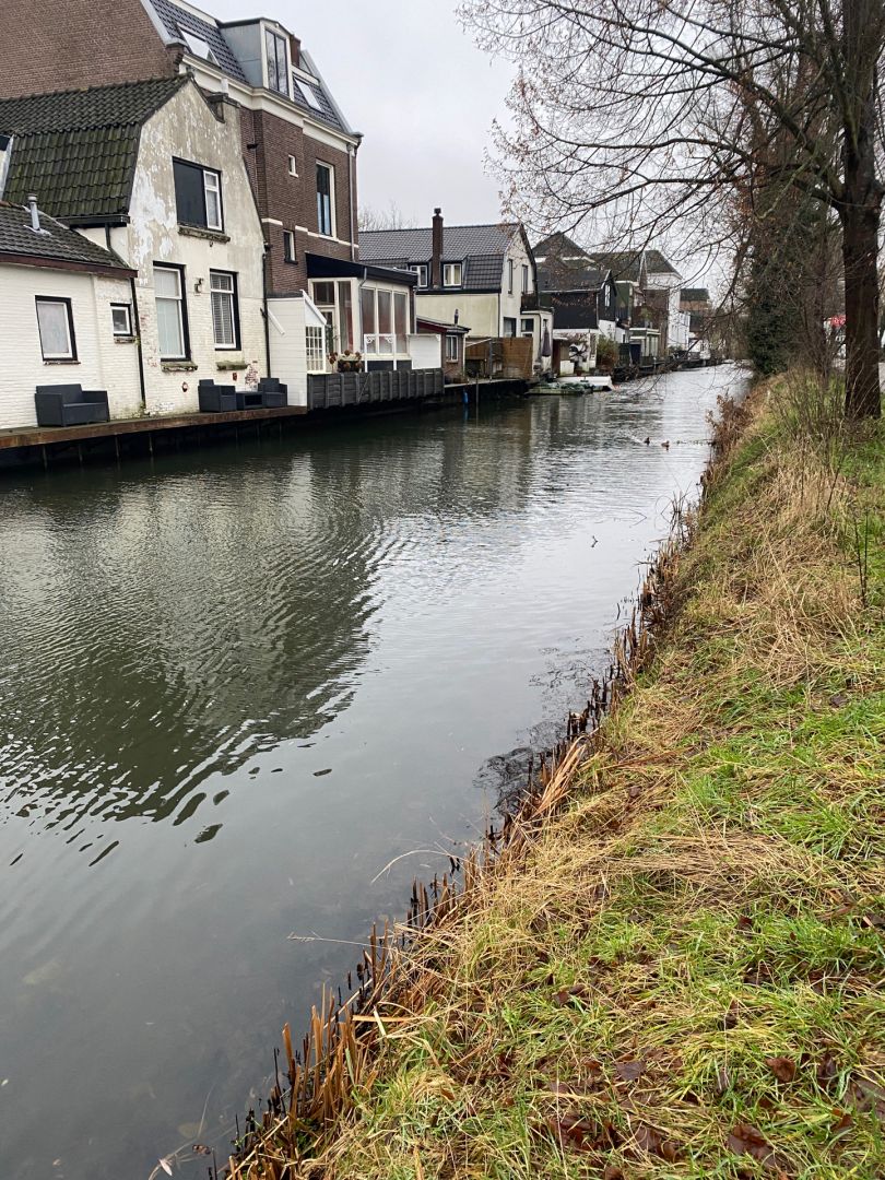 Kortenhoefsedijk angeln