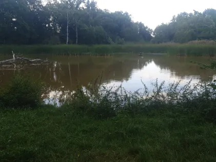 Wild-Teich Rühen