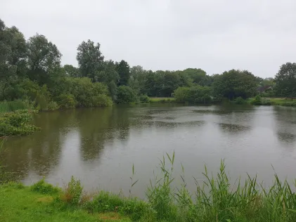 Schwarzer Wehl