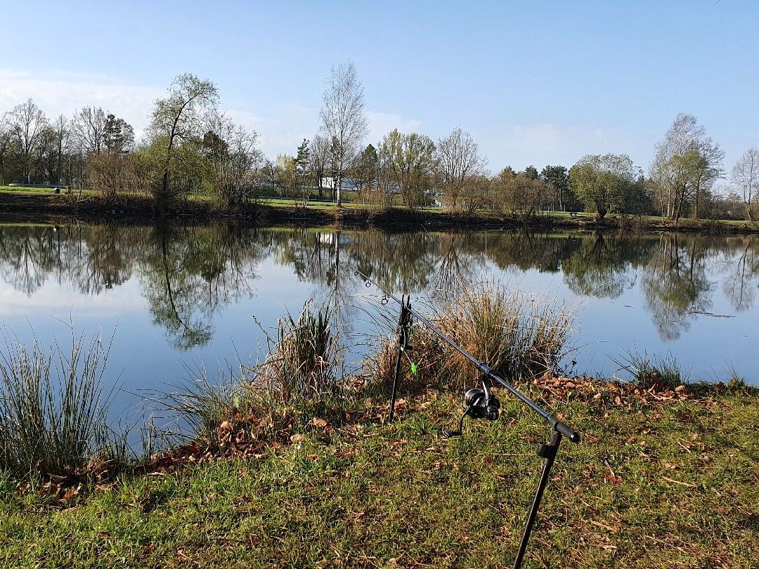 Rainer-Lauterbach-Weiher angeln