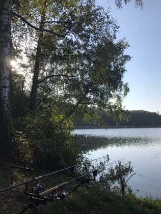 Dolgensee (Altfriedland)