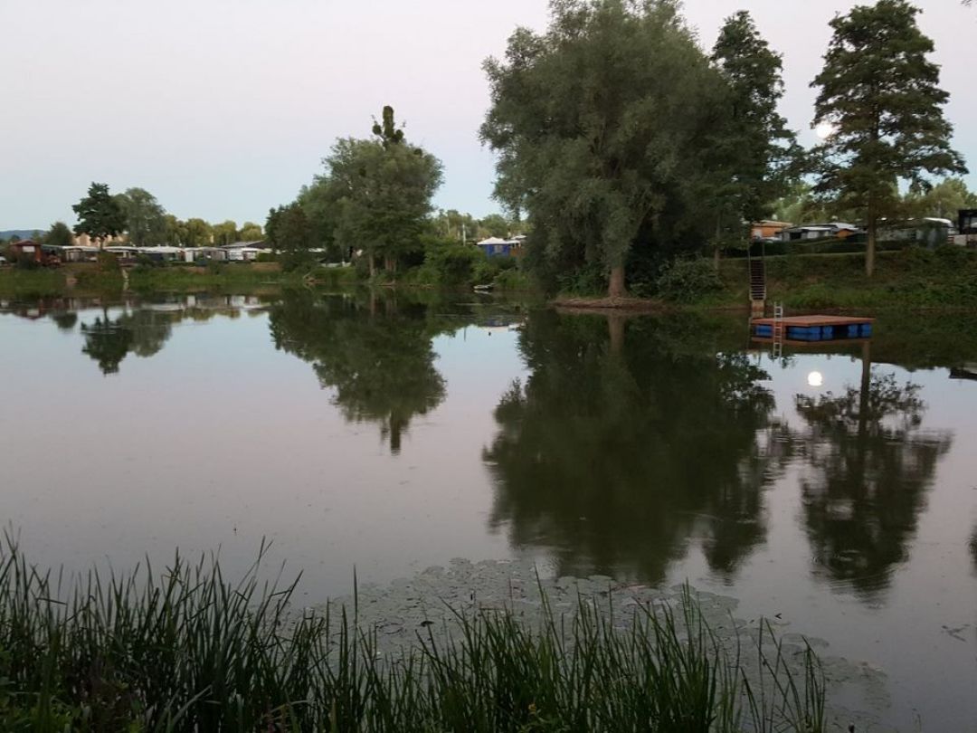 Helenensee (Rinteln) angeln