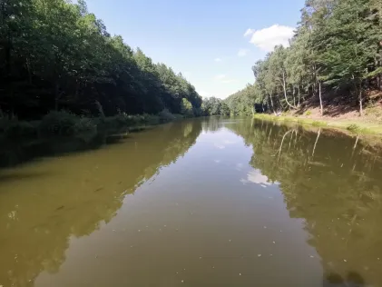 Dauborner Weiher