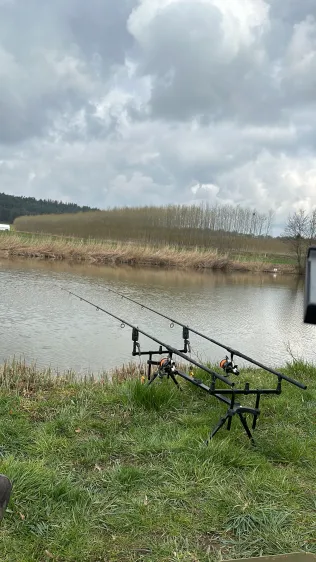 Teich Geiselwind