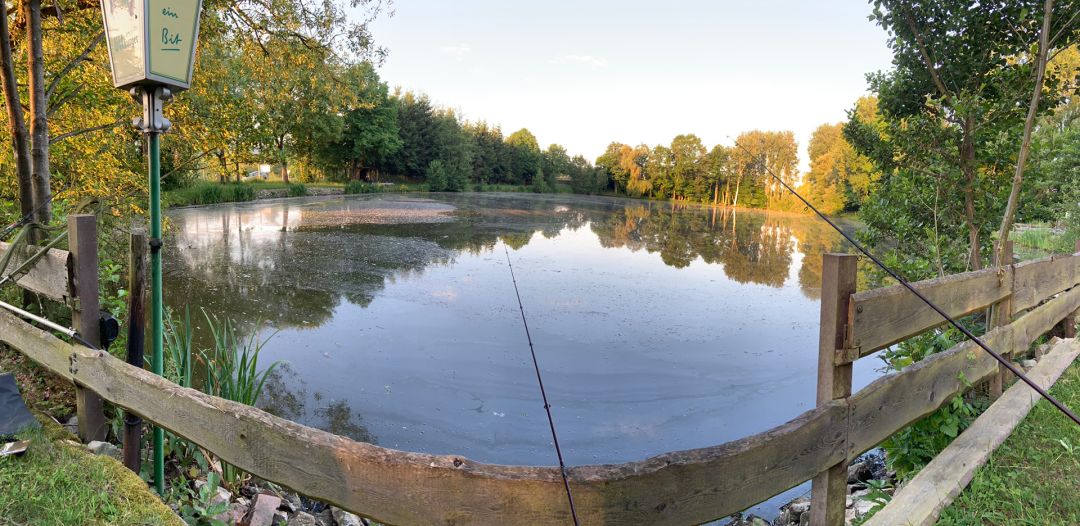 Ellerner Weiher angeln