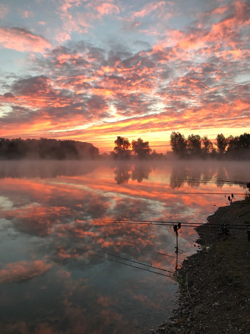 Vogelsee (Ersingen) angeln