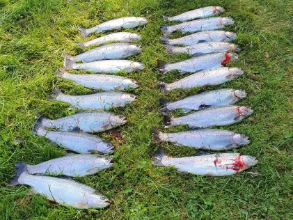 Fischzucht Breuningen