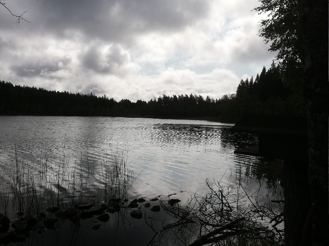 Möckeln (Uppvidinge) angeln