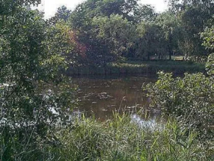 Teich Vierbergen (Ahrensburg)