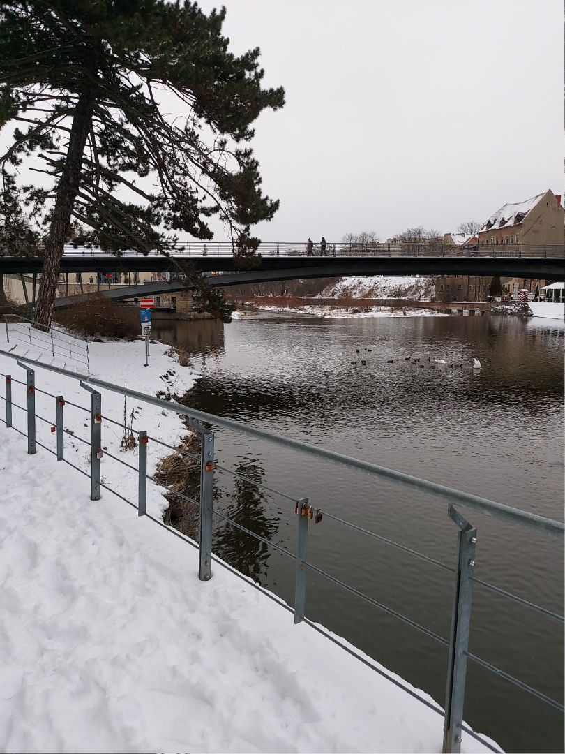 Lausitzer Neiße (Görlitz) angeln