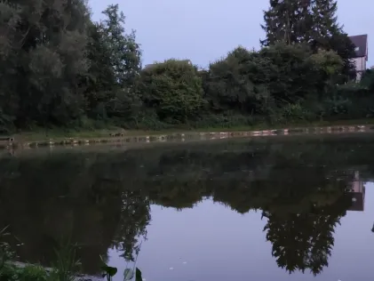 Vereinssee ASV Eschweiler