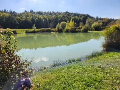 Quellpark Kundelfingerhof