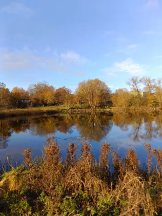 Gieselteich (Bad Segeberg)