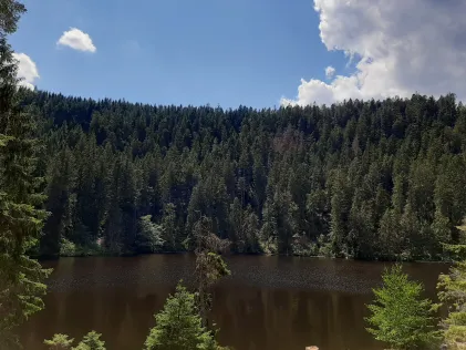 Glaswaldsee