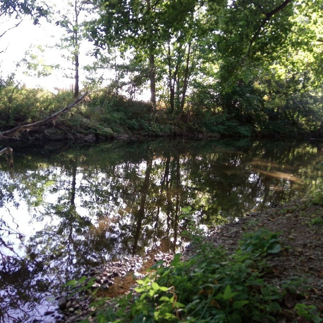 Angeln in Blaufelden