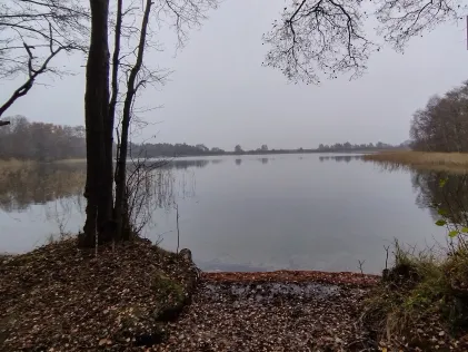 Straßensee (Wangelkower See)