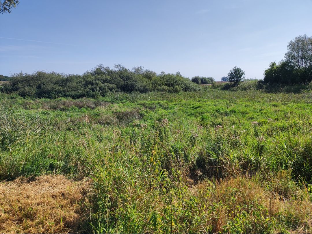 Ochsenkoppelteich angeln