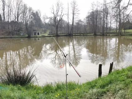 Siedemühlenteich (Hainewalde)