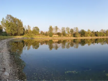 Grindsee