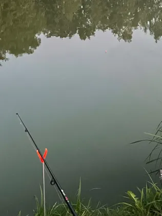 Erlensee (Lain am See)