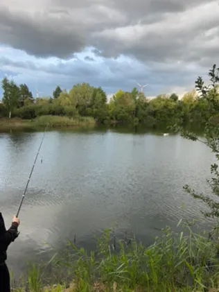 Teich 1 des ASV-Dollbergen (Uetze)