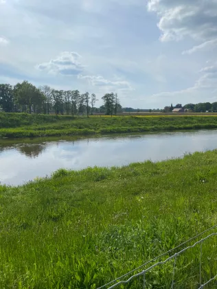 Hase (Badbergen)
