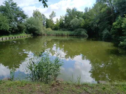 Altes Schwimmbad Raguhn