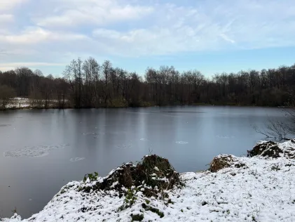 Teichwiesenteiche Volksdorf