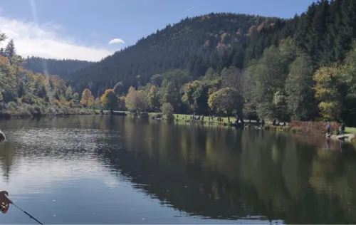 Forellenpark Kleinenztal