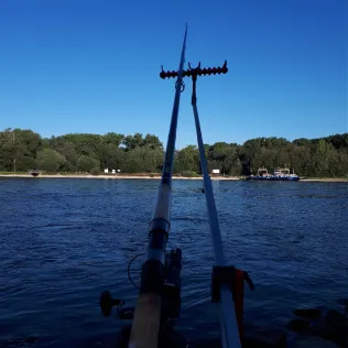 Rhein (Karlsruhe)