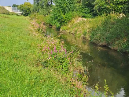 Glonn (Odelzhausen)