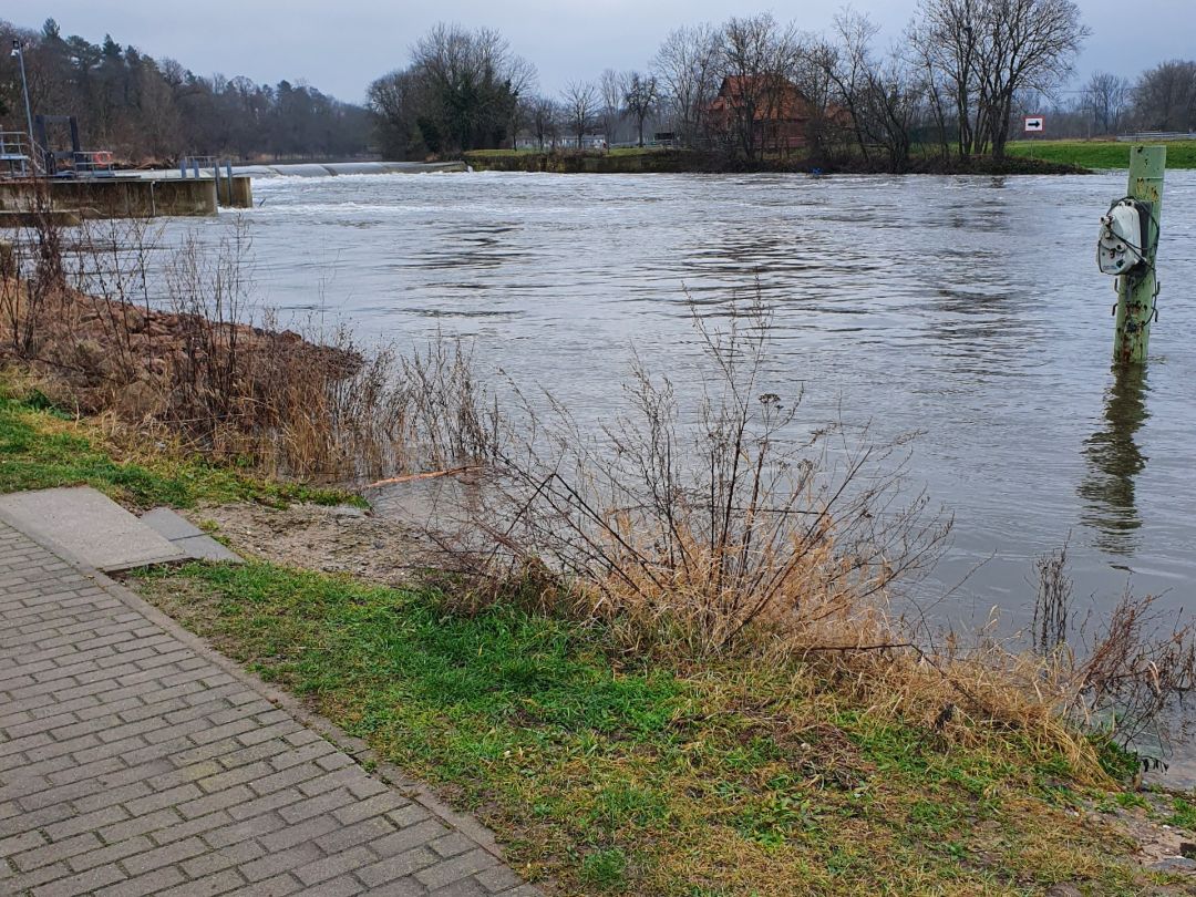 Saale (Bad Dürrenberg) angeln