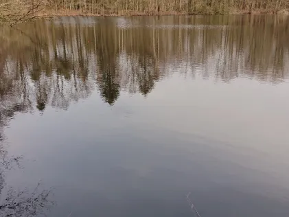 Ohmoorteich