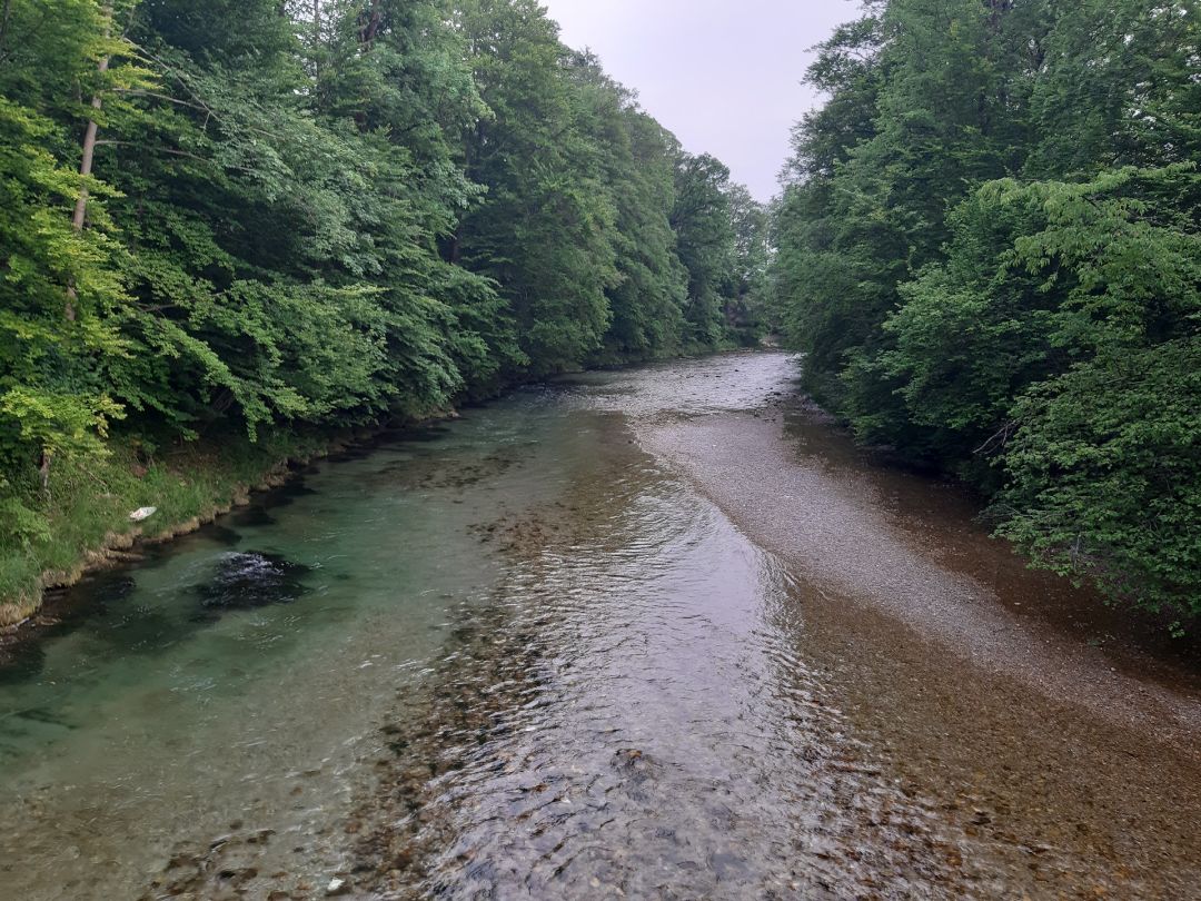 Angeln in Traunstein