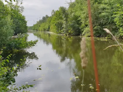 Breitenburger Moorkanal