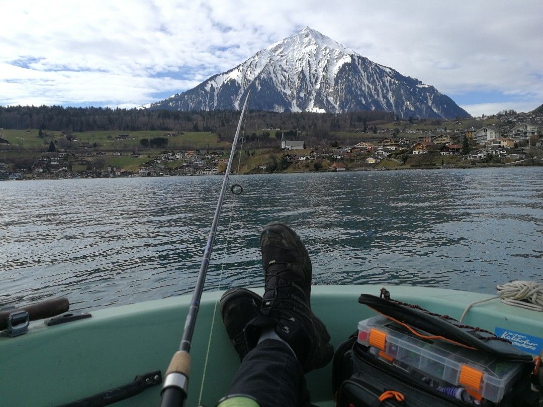 Thunersee angeln
