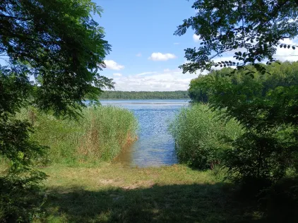 Alte Grube (Möhlau)