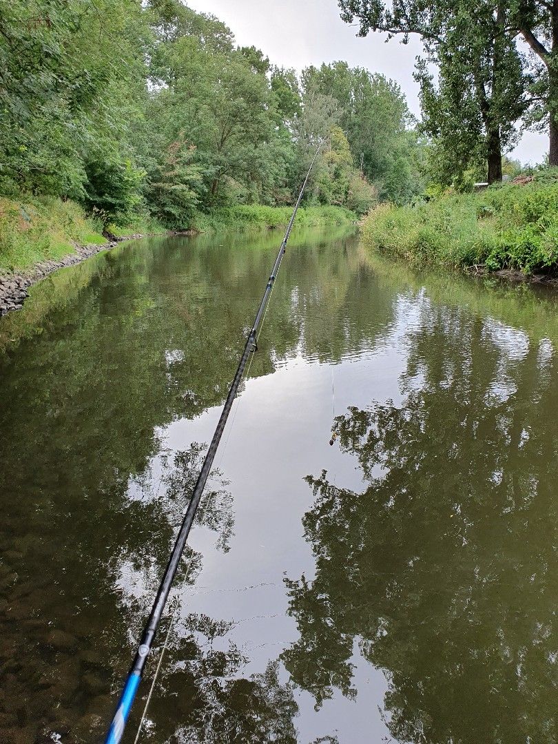 Angeln in Bördeaue