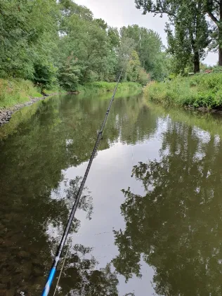 Bode (Staßfurt)