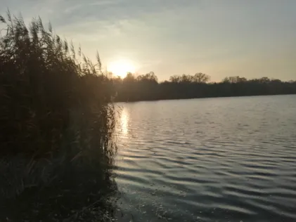 Waldbad (Lauer)