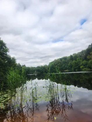 Bergsee (Delliehausen)