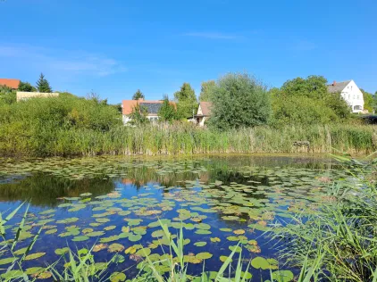 Bauhofteich Burg Stargard