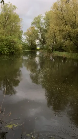 Feuerwehrteich (Bastorf)